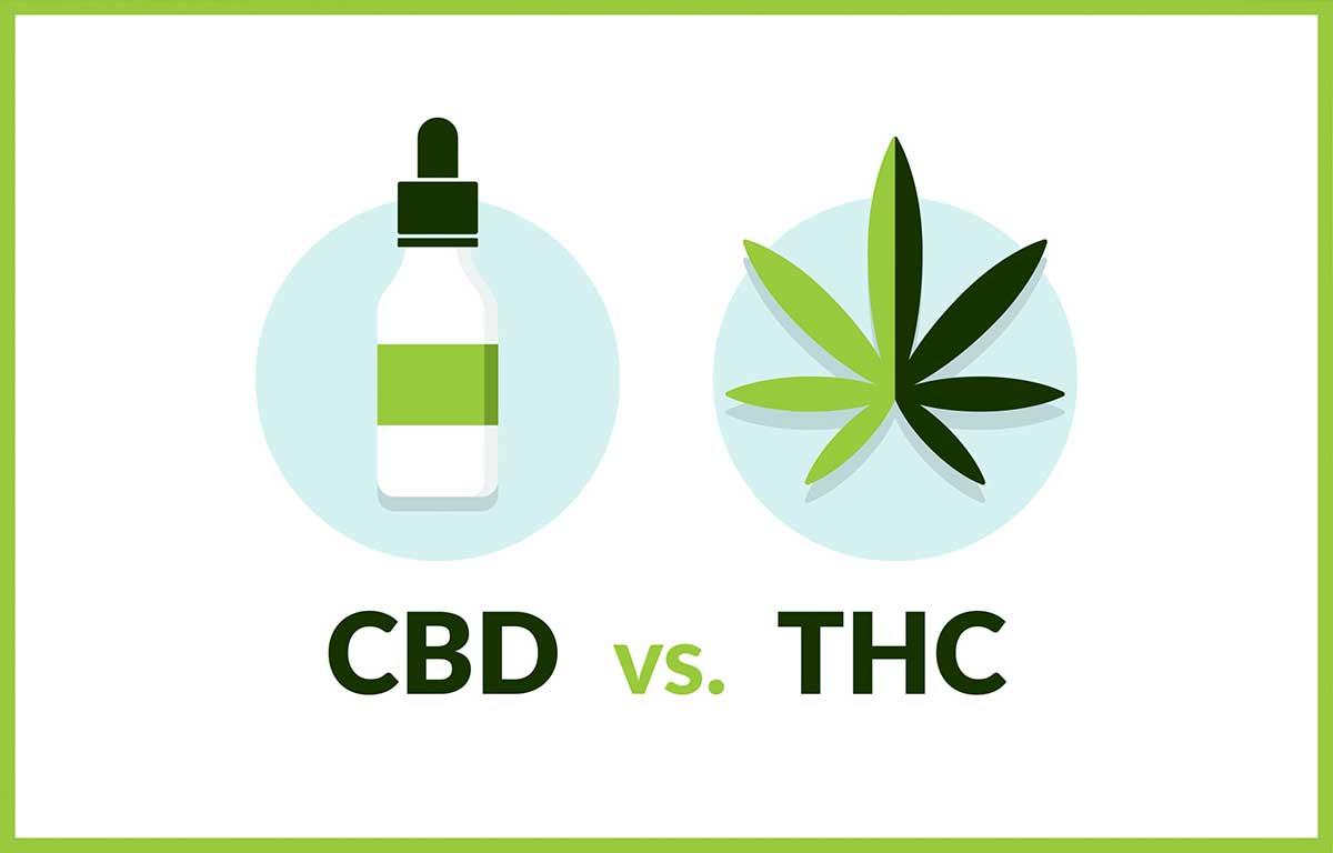 CBD vs THC