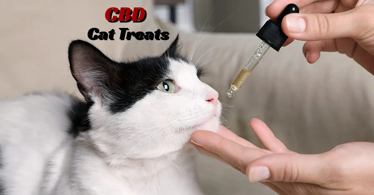 CBD Cat Treats