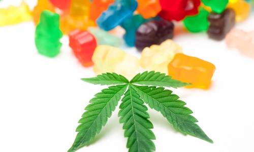 Canna Gummies: A Comprehensive Guide