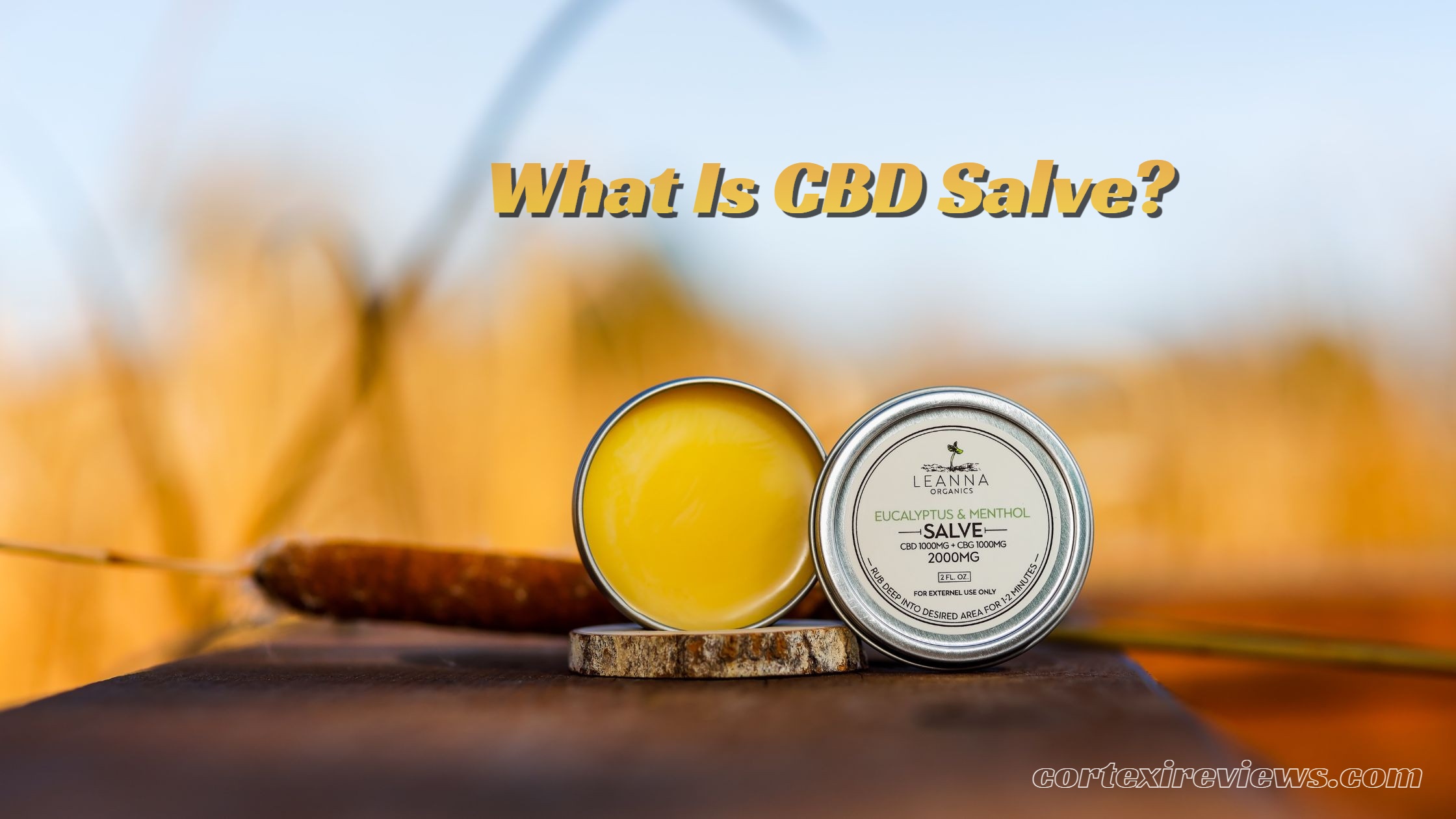 CBD Salve: Everything You Need to Know for Pain and Skin Care